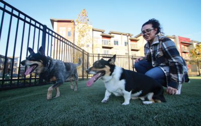 Millennials, Gen Z put pets first in search for housing